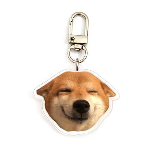 custom acrylic dog picture keychains manufacturers wholesale personalised pet photo keyrings bulk makers